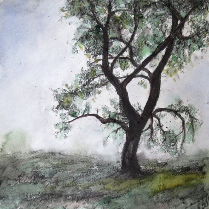 Prairie Tree